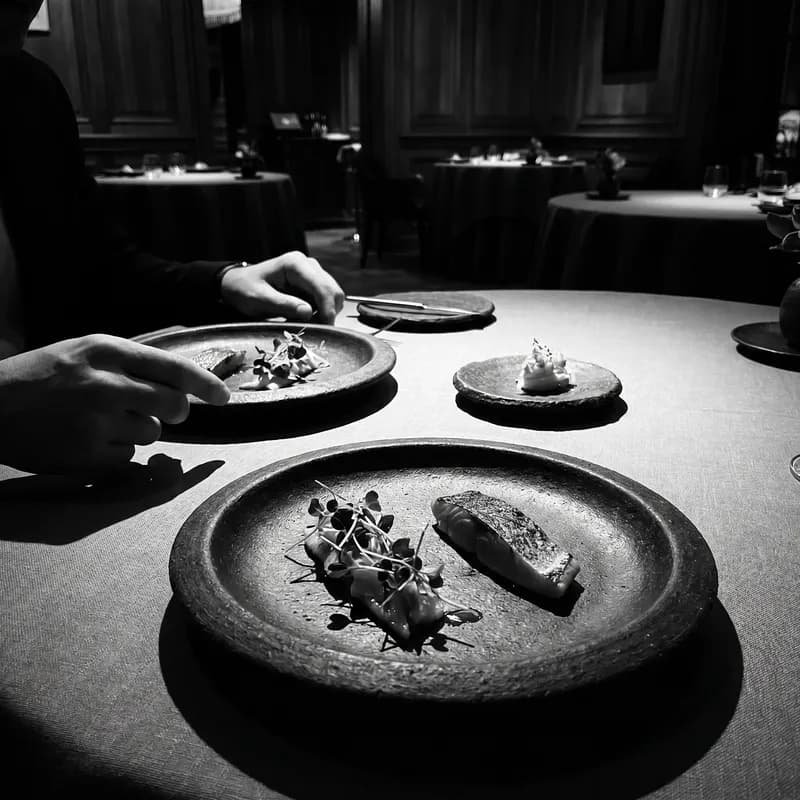 Minimalist plated cuisine on dark artisanal ceramics in cinematic light